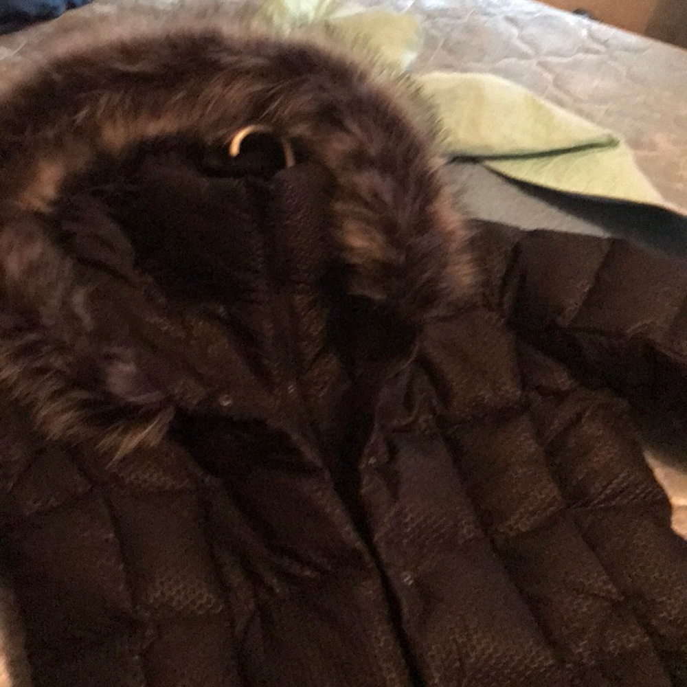 Woman’s Medium North face Coat Brand new